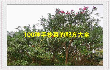 100种手抄菜的配方大全