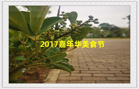 2017嘉年华美食节