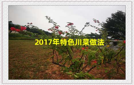 2017年特色川菜做法