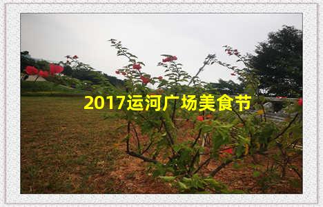 2017运河广场美食节