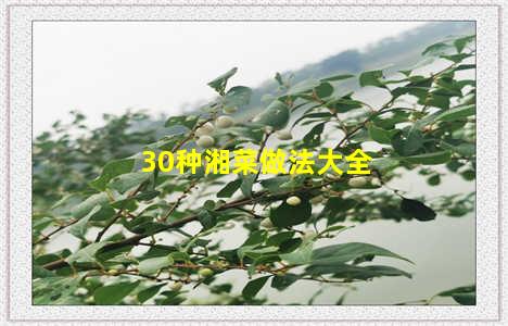 30种湘菜做法大全