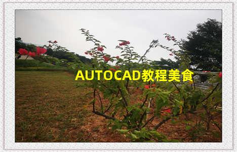 AUTOCAD教程美食