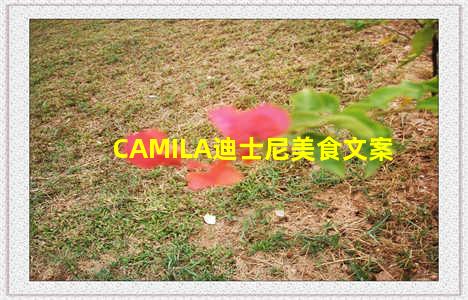 CAMILA迪士尼美食文案