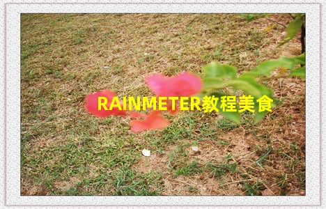 RAINMETER教程美食