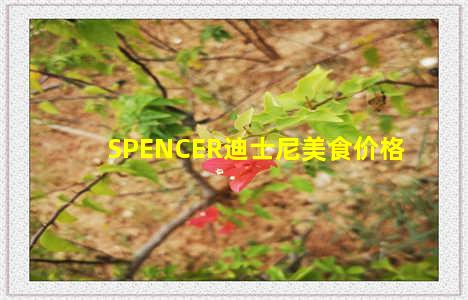 SPENCER迪士尼美食价格