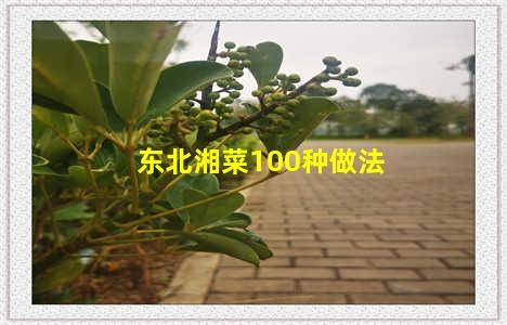 东北湘菜100种做法