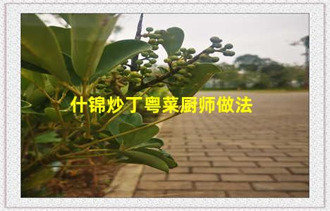 什锦炒丁粤菜厨师做法