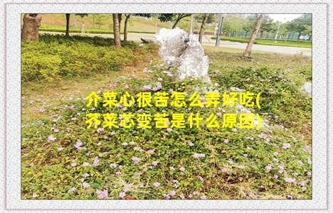 介菜心很苦怎么弄好吃(芥菜芯变苦是什么原因)