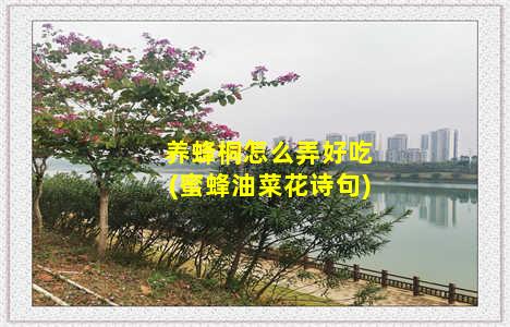 养蜂桐怎么弄好吃(蜜蜂油菜花诗句)