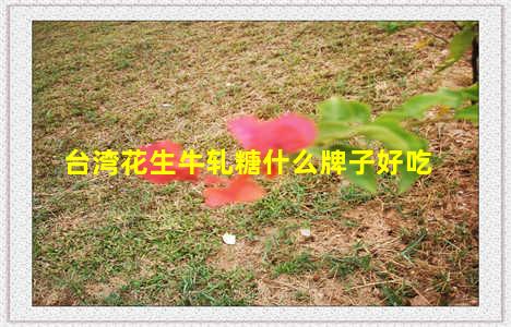 台湾花生牛轧糖什么牌子好吃