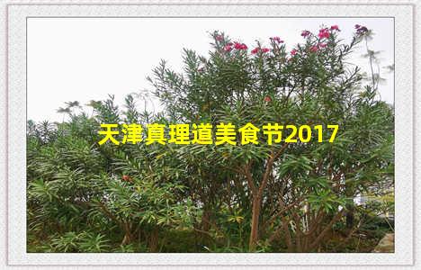 天津真理道美食节2017