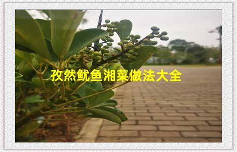 孜然鱿鱼湘菜做法大全