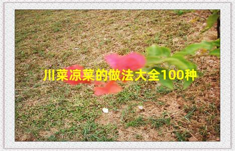 川菜凉菜的做法大全100种