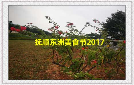 抚顺东洲美食节2017