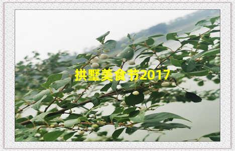 拱墅美食节2017