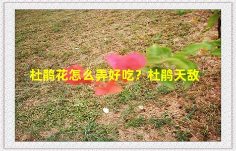 杜鹃花怎么弄好吃？杜鹃天敌