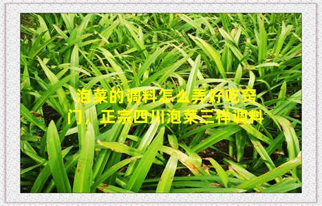 泡菜的调料怎么弄好吃窍门，正宗四川泡菜三样调料