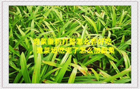 泡菜重新打整怎么弄好吃，泡菜坛吃完了怎么加新菜