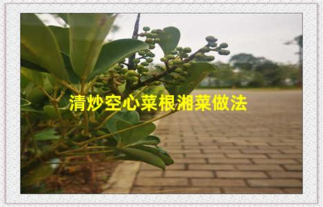 清炒空心菜根湘菜做法