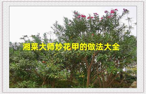 湘菜大师炒花甲的做法大全