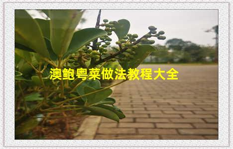 澳鲍粤菜做法教程大全