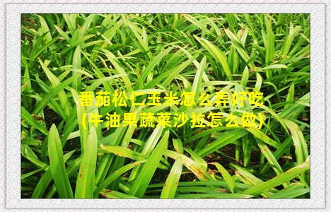 番茄松仁玉米怎么弄好吃(牛油果蔬菜沙拉怎么做)