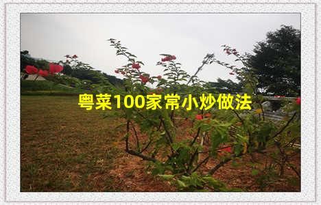 粤菜100家常小炒做法