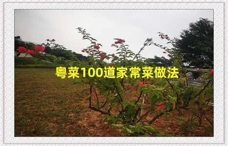 粤菜100道家常菜做法