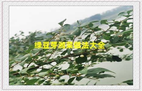 绿豆芽湘菜做法大全