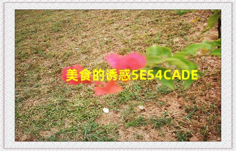 美食的诱惑5E54CADE