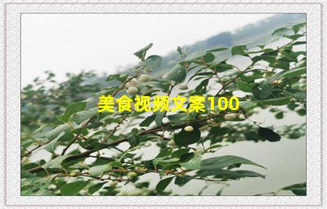 美食视频文案100