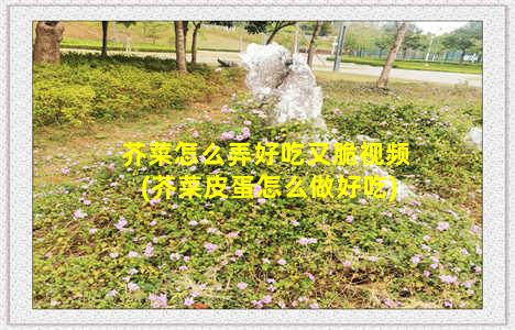 芥菜怎么弄好吃又脆视频(芥菜皮蛋怎么做好吃)