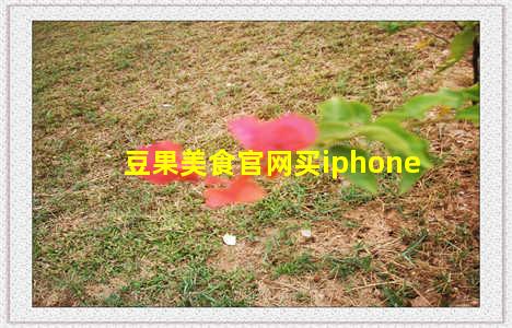 豆果美食官网买iphone