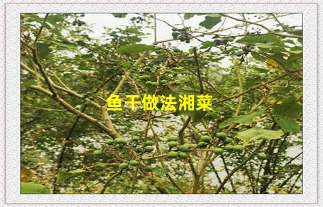 鱼干做法湘菜