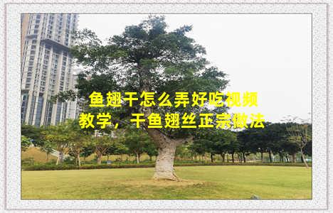 鱼翅干怎么弄好吃视频教学，干鱼翅丝正宗做法