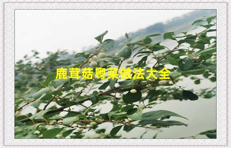 鹿茸菇粤菜做法大全